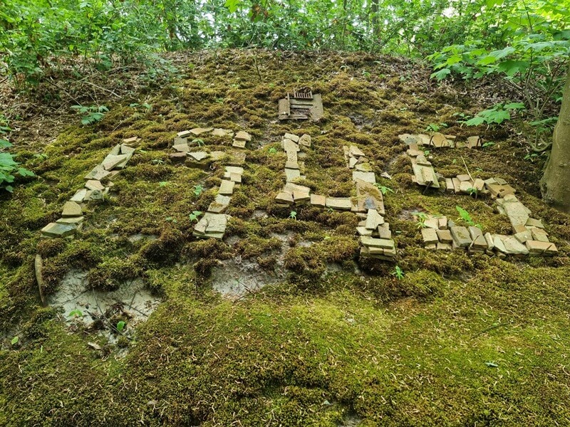 Schier- Eendenkooi